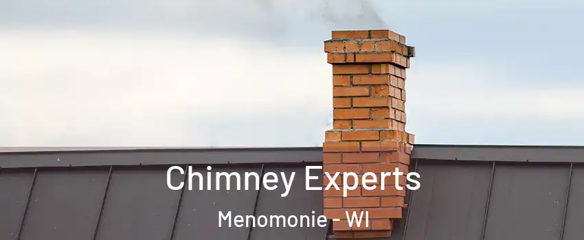 Chimney Experts Menomonie - WI