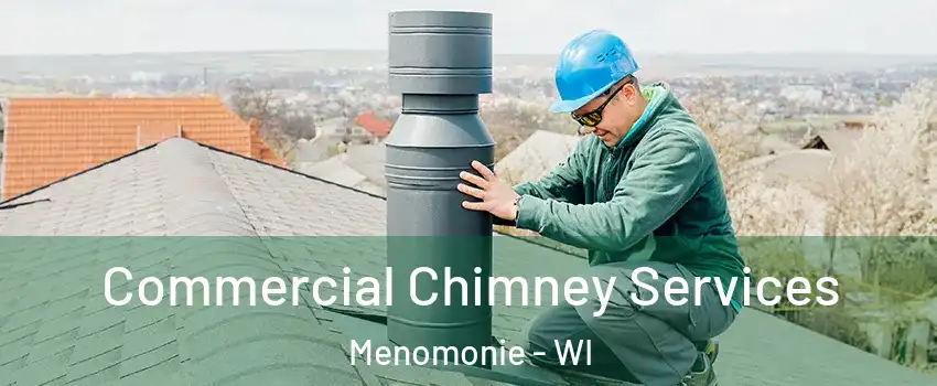  Commercial Chimney Services Menomonie - WI