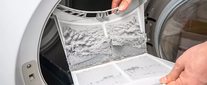 Best Dryer Lint Removal Company in Menomonie, Wisconsin