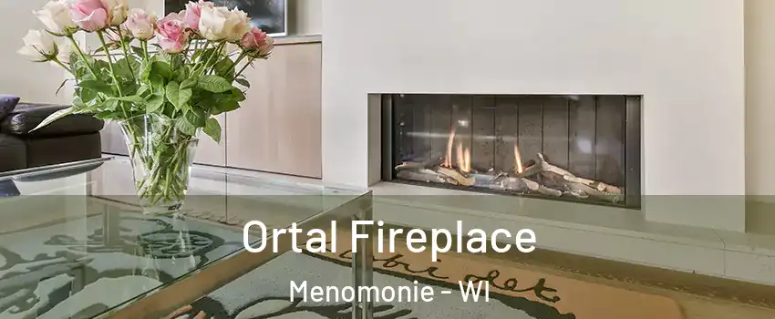  Ortal Fireplace Menomonie - WI